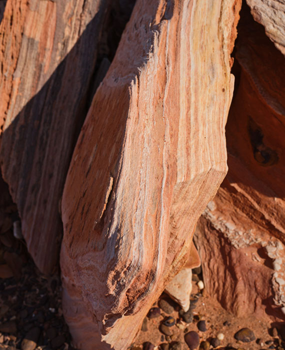 Image of beach outcrop near Pinctada Hotel